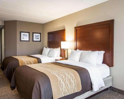 Quality Inn & Suites Orland Park - Chicago - image 2