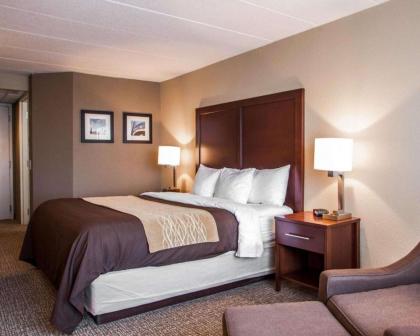 Quality Inn & Suites Orland Park - Chicago - image 9