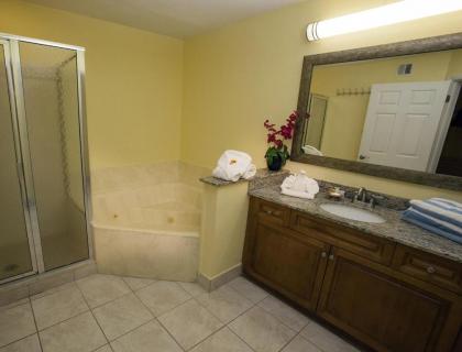 Fully-furnished Villa and Modern Comforts in Orlando - One Bedroom #1 - image 5