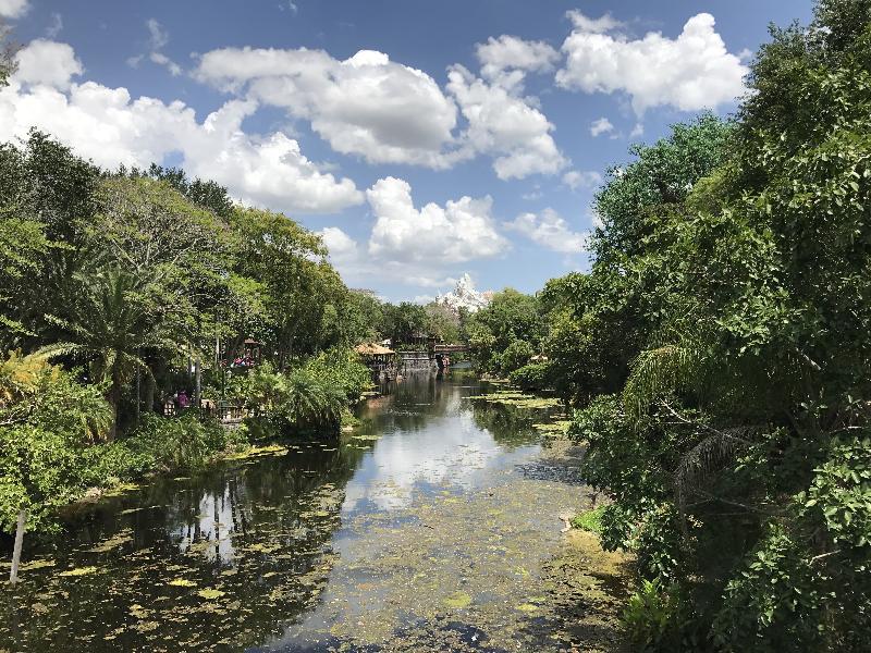 LIGHTHOUSE KEY RESORT AND SPA - main image