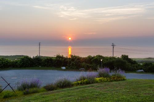 Nauset Beach Inn - image 3