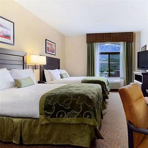 Holiday Inn Express and Suites Oro Valley an IHG Hotel - image 3