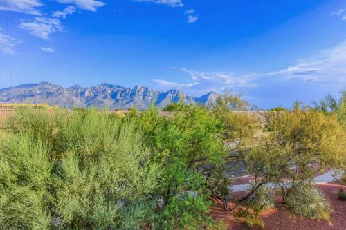 Catalina Mountain Views #212 - image 4