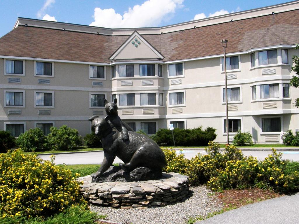 Black Bear Inn and Conference Center - main image