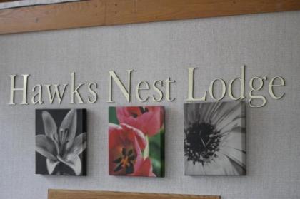 Hawk's Nest Lodge - image 3