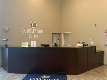 Cobblestone Suites - Oshkosh - image 3