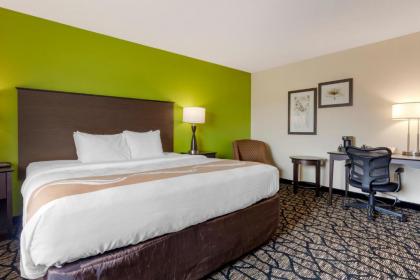 Quality Inn - image 11