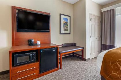 Comfort Suites Oshkosh - image 10