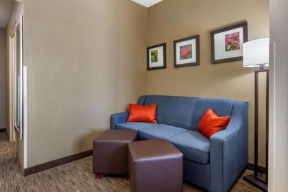 Comfort Suites Oshkosh - image 6