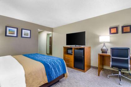 Comfort Inn Ottawa - image 11