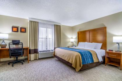 Comfort Inn Ottawa - image 12