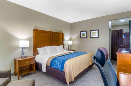 Comfort Inn Ottawa - image 6