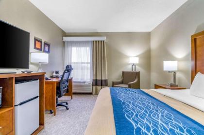 Comfort Inn Ottawa - image 8