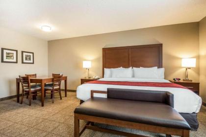 Comfort Inn Ottawa Starved Rock Area - image 14