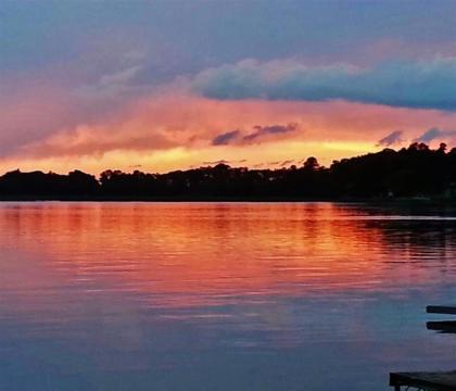 Lakefront Henning Cabin with Fantastic Lake Views! - image 9