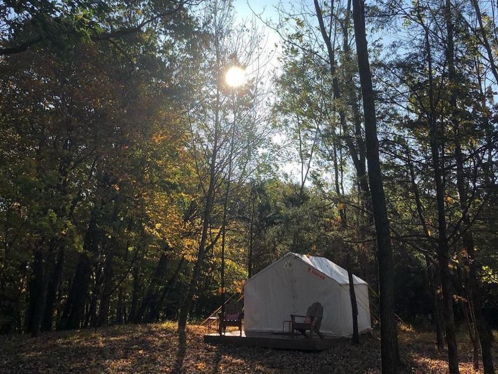 Tentrr - Nockamixon Forest Camp - main image