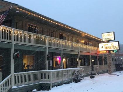 Timber Ridge Lodge Ouray - image 5