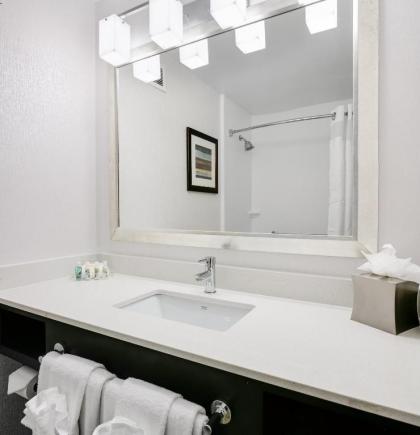 Holiday Inn Hotel & Suites Overland Park-West an IHG Hotel - image 3