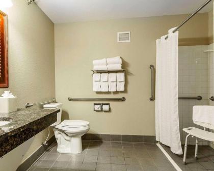 Comfort Inn Owatonna near Medical Center - image 5