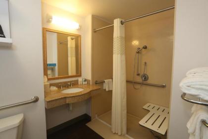 Hampton Inn Owego - image 14