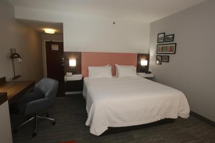 Hampton Inn Owego - image 3