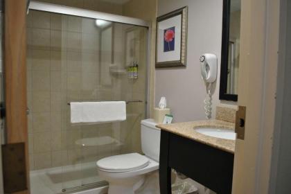 Best Western Owego Inn - image 10