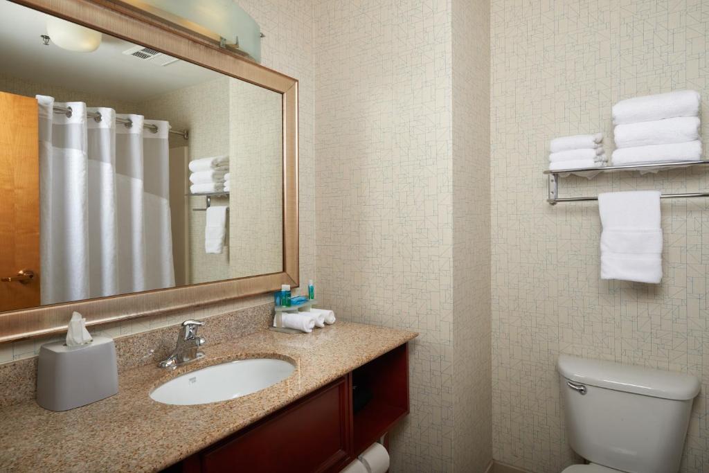 Holiday Inn Express Hotel & Suites Anniston/Oxford an IHG Hotel - image 2