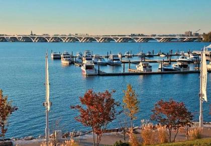 Residence Inn by Marriott National Harbor Washington D.C. Area - image 10