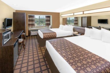 Microtel Inn & Suites by Wyndham Ozark - image 4