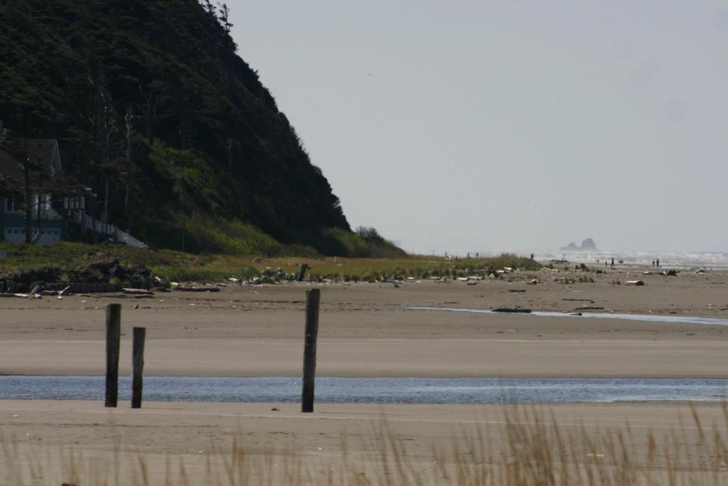 Sea Oats - image 3