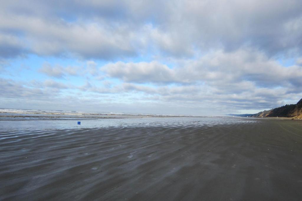 Sea Oats - image 6