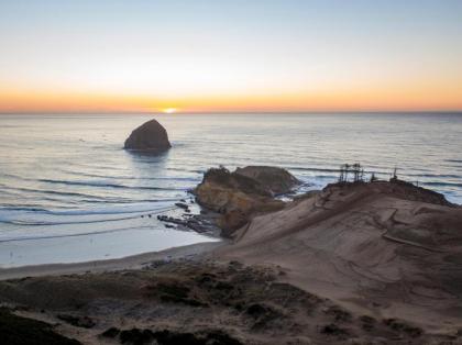 Surfs up at the Short Board Studio - image 8