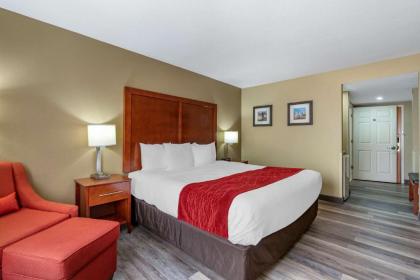 Comfort Inn Near Six Flags St. Louis - image 12