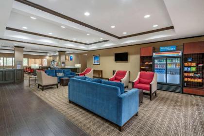 Comfort Inn Near Six Flags St. Louis - image 14