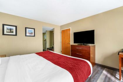 Comfort Inn Near Six Flags St. Louis - image 15