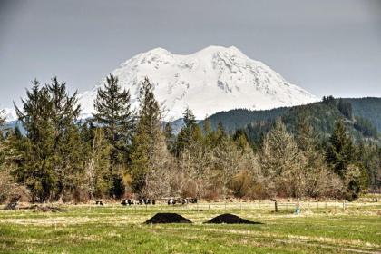 Alpine Annies - 30 Min to White Pass Ski Area! - image 15