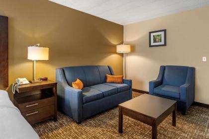 Comfort Inn Paducah I-24 - image 12