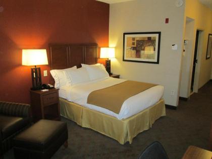 Holiday Inn Express & Suites Paducah West an IHG Hotel - image 2