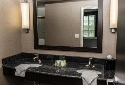 Holiday Inn Paducah Riverfront an IHG Hotel - image 8