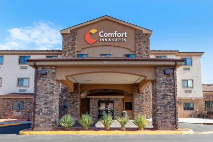 Comfort Inn & Suites Page at Lake Powell - image 3