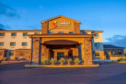 Comfort Inn & Suites Page at Lake Powell - image 7