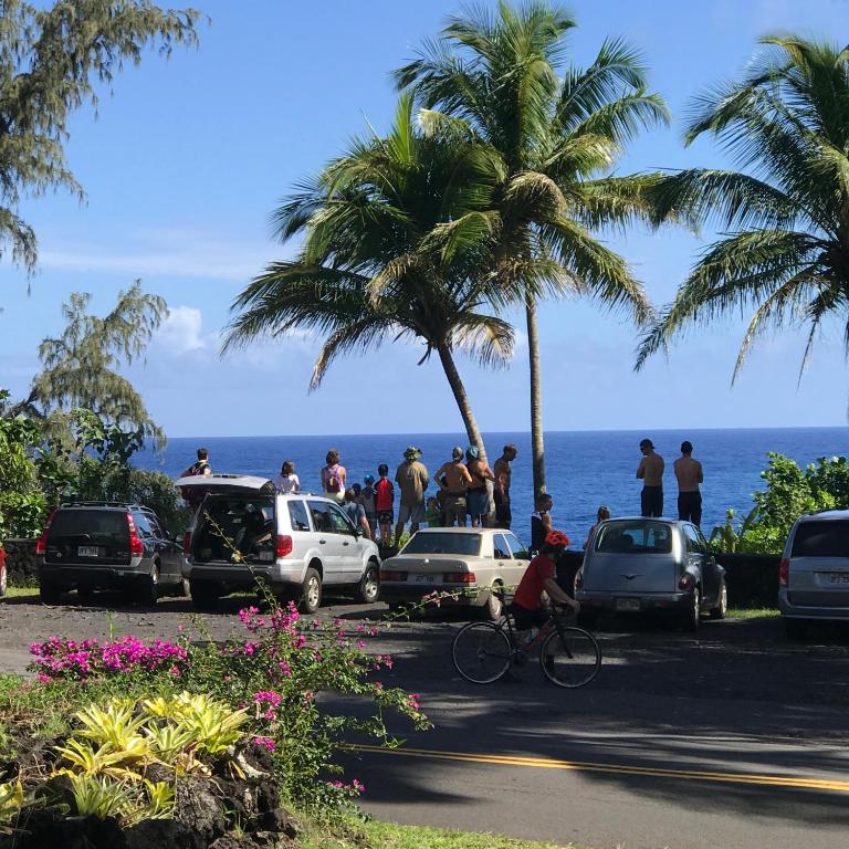 Whale House at Kehena Beach - image 2