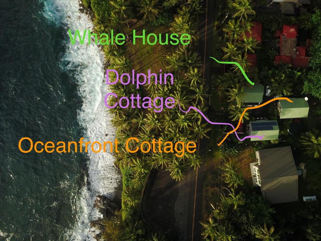 Whale House at Kehena Beach - image 3