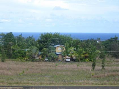 Coconut Palms Vacation Rental near lava fields and beaches - image 13