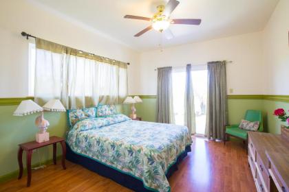 Coconut Palms Vacation Rental near lava fields and beaches - image 15