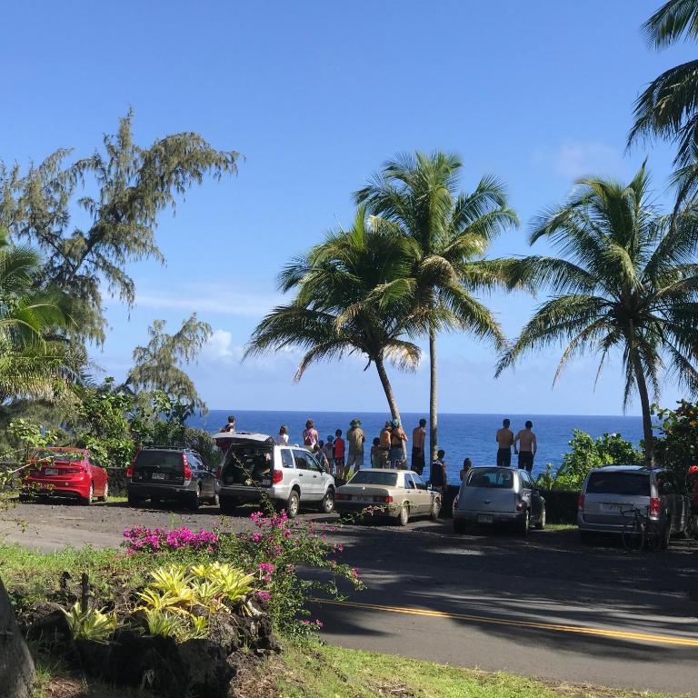 Coconut Palms Vacation Rental near lava fields and beaches - image 3