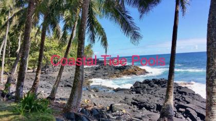 Coconut Palms Vacation Rental near lava fields and beaches - image 6