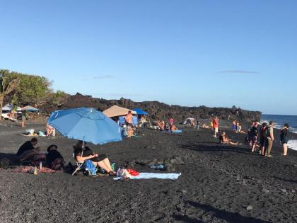 Coconut Palms Vacation Rental near lava fields and beaches - image 8