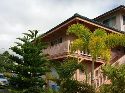 Nice Studio w/ AC near Kehena Beach and lava fields - image 11