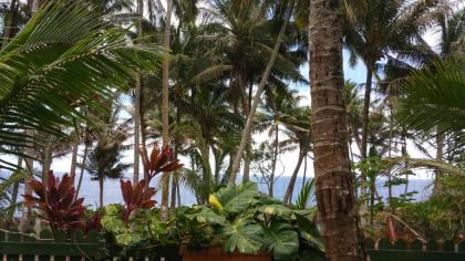 Nice Studio w/ AC near Kehena Beach and lava fields - image 12